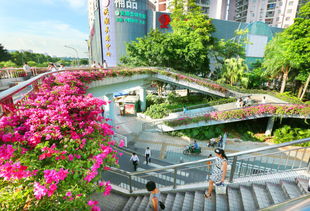 美滋滋，走在罗湖街头